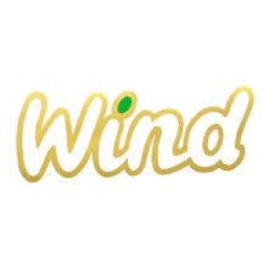 EMBLEMA WIND DOURADO/VERDE CORSA 94/